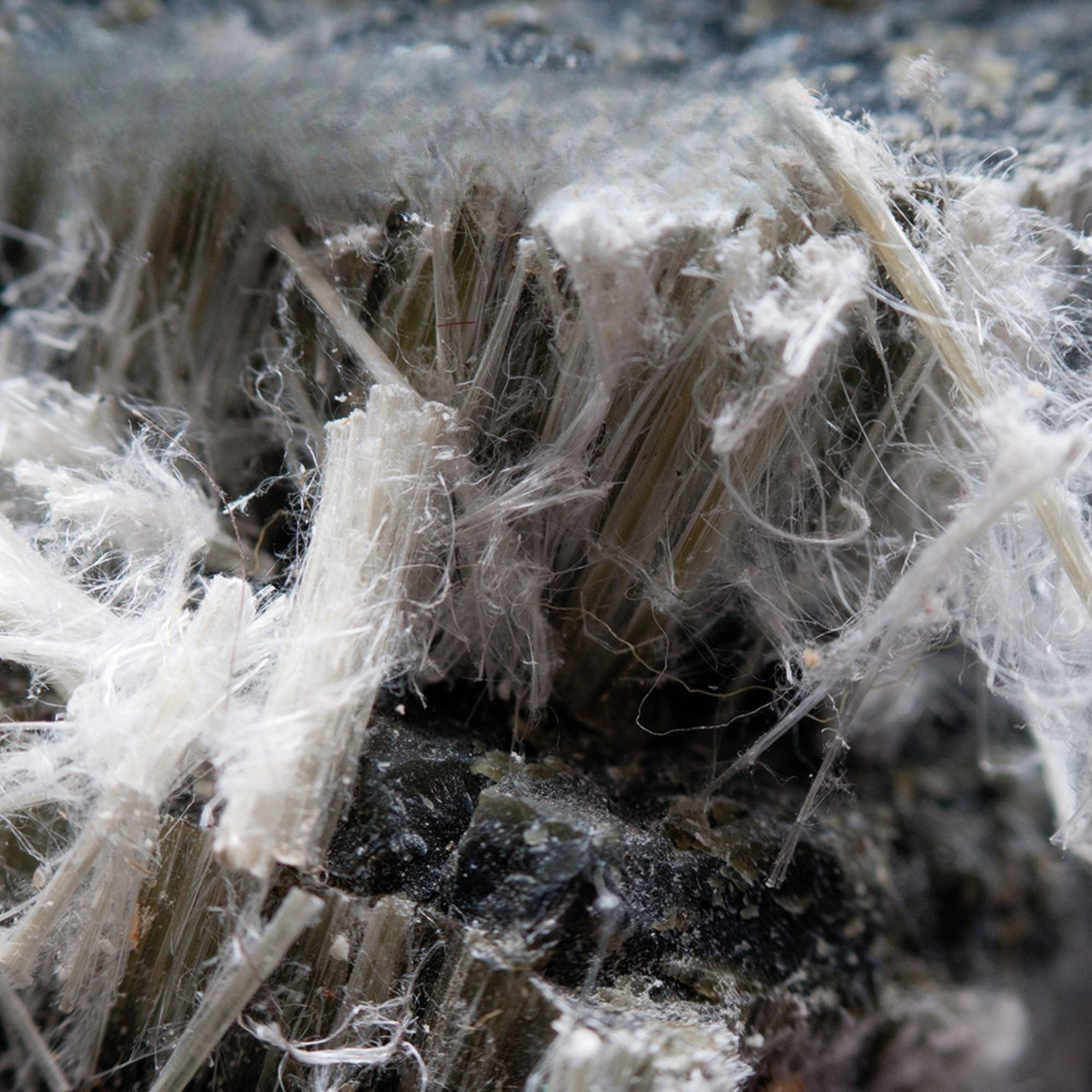 Faser, Textilfaser, Fasern, Pflanzenfaser, Nahtmaterial